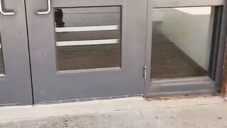 613 World of Technology