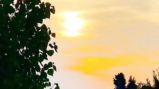 status,status video,status song,status whatsap,beast song,good song,video,natural