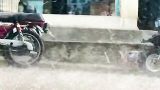 2765,status,status video,status song,status whatsap,beast song,good song,video,natural