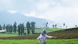 Natural beauty in the cool countryside