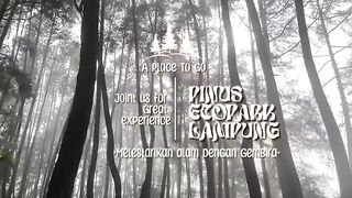 Pinus Ecopark, pine tree nature tourism