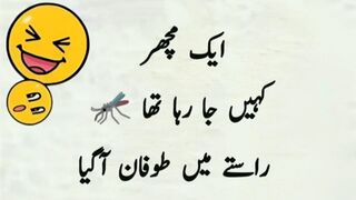 Funny jokes / hindi funny jokes / funny latifa