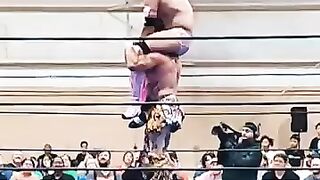 Flying Leg Kick