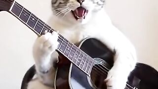Котолепс