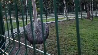 Parque Refugio dos Pássaros  (Araquari SC)
