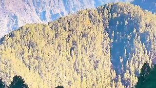 status,status video,status song,status whatsap,beast song,good song,video,natural