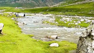 status,status video,status song,status whatsap,beast song,good song,video,natural