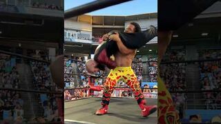 Micro Wrestling Federation in New York