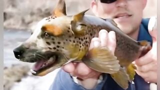 Gog Fish