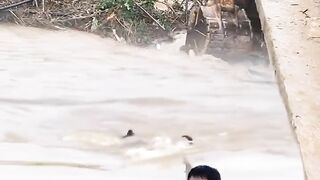 Normal water flooding