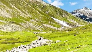 2802,status,status video,status song,status whatsap,beast song,good song,video,natural
