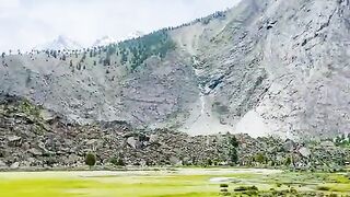2813,status,status video,status song,status whatsap,beast song,good song,video,natural