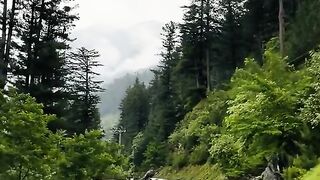 2815,status,status video,status song,status whatsap,beast song,good song,video,natural