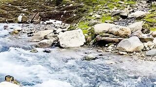 2824,status,status video,status song,status whatsap,beast song,good song,video,natural