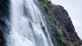 2842,status,status video,status song,status whatsap,beast song,good song,video,natural