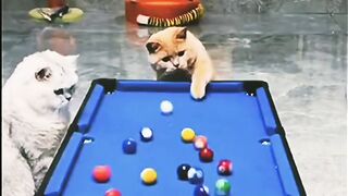 Play billiards 3