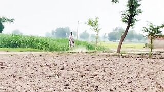 Horse ???????? 2