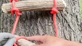 Most Viral Videos On ssSocial Media 2