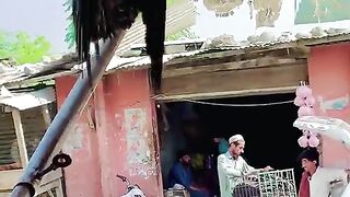 امن مینہ انسانیت