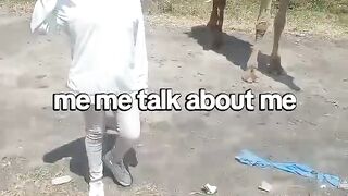 ANIMALS 3