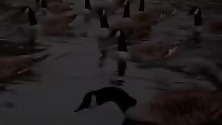 دعاء يوم الجمعه 2