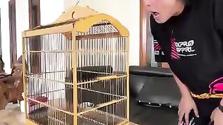 BURUNG HANTUKU LUCU SEKALI