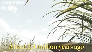 Dawn of the Stone Age - OUT OF THE CRADLE [人類誕生CG] / NHK Documentary
