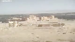 Palmyra 6