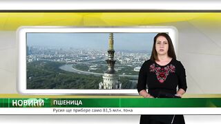 РУСИЯ ЩЕ ПРИБЕРЕ ПО-МАЛКО ПШЕНИЦА