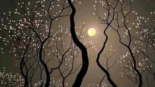 Suasana mlam yg damai