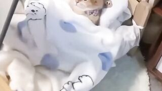 Ushna9vision99 Hollywood cute cat beuatiful shorts vedios