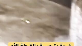 شوف 2