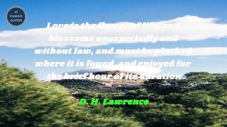 famous quotes about love | Part 374