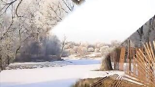 La nature 6