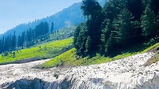 2851,status,status video,status song,status whatsap,beast song,good song,video,natural