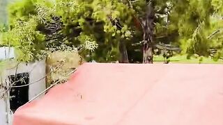 2852,status,status video,status song,status whatsap,beast song,good song,video,natural