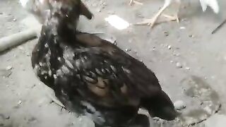 Jo bura karay un k sat bhi acha i karo