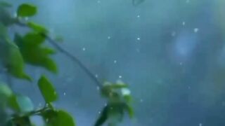 #rain #reels #reelsinstagram #reelitfeelit #trending #trendingreels #trendingsongs #in...od