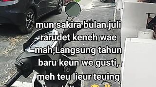 ayam broiler || kata kata lucu 661