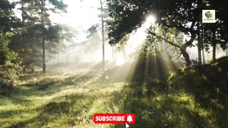 Sahih Bukhari Hadees No. 317 318 | Hadees Nabvi in Urdu | Shan E Quran world