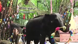 าง_ช้าง_ช้าง_#เพลงเด็ก_#เพลงอนุบาล_#kidsongs(480p).