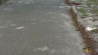 Прогулка продолжается