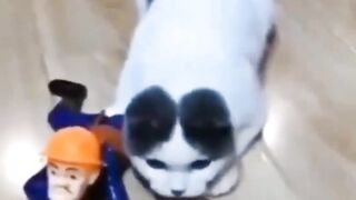 Monitoring the enemy