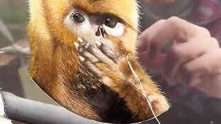 Most Viral Videos On Tiktok 10