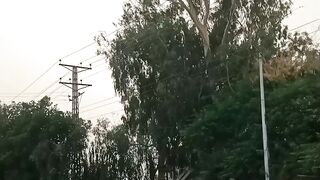 Dil e umed 2