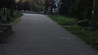 Church and walk, so to speak, arboretum
