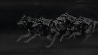موسيقى مهيبه