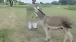 ???????????????? 160