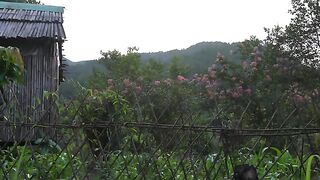 Living Alone in the Mountains Redecorating the Garden and Making Special Banh Duc