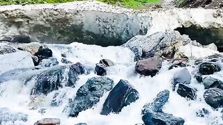 2890,status,status video,status song,status whatsap,beast song,good song,video,natural